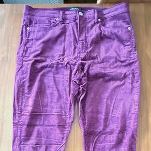 Banana Republic Crushed Velvet Jean